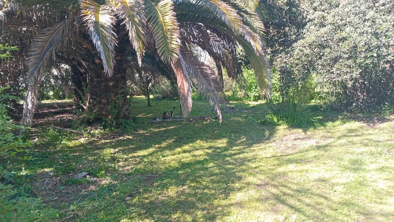 Terreno en Navarro, foto 1 de 16